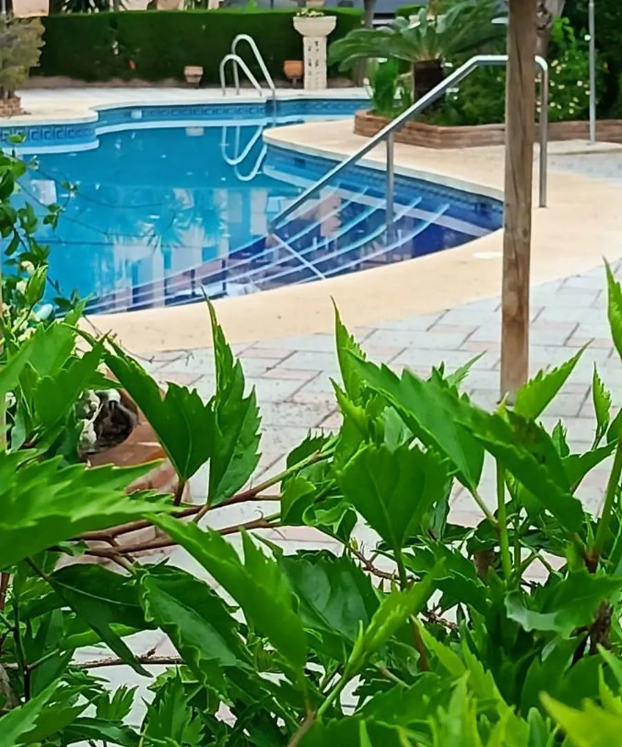 Apartamento Mijas Costa Riviera del Sol Piscinas y Wifi Málaga